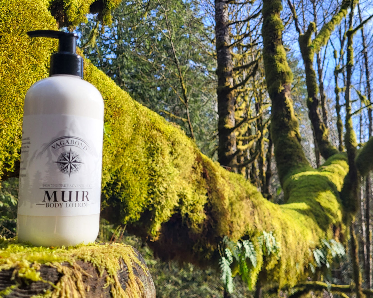 Muir natural lotion evergreen scent displayed on a mossy branch backdrop