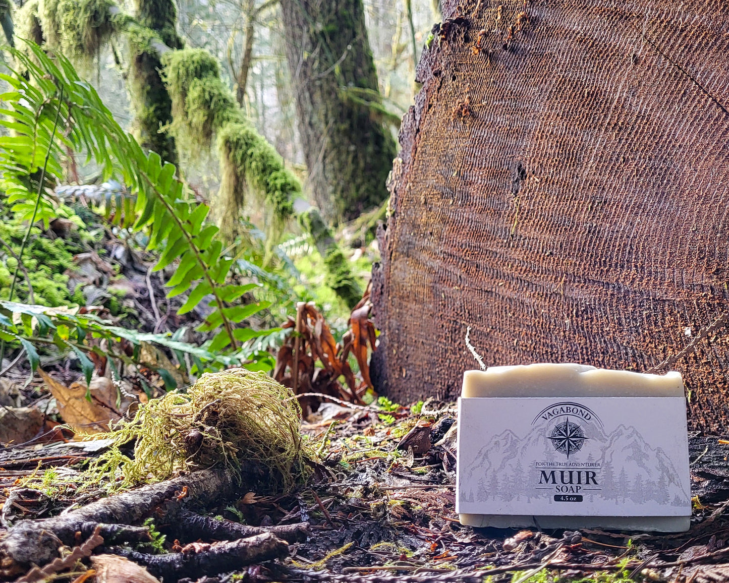 Muir natural bar soap evergreen scent displayed on a split log backdrop